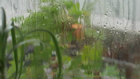 a turbulent summer hailstorm and rainstorm viewed from within a city apartment