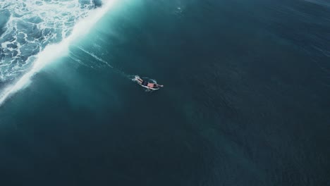 aerial of isolated surfer catching big ocean waves in open water drone fly above surf sport in bali island indonesia