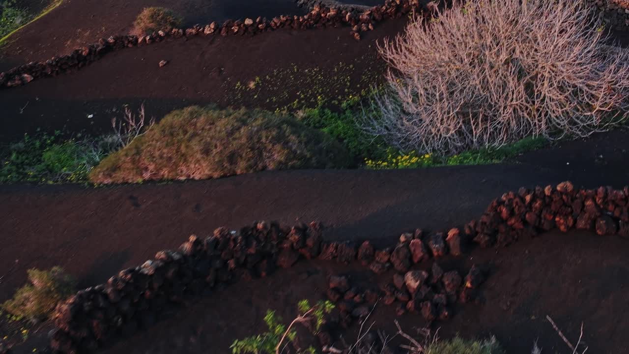 Paisagem de solo vulcânico negro em Lanzarote, Espanha, durante o dia