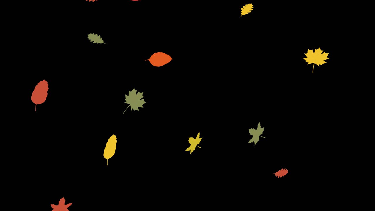 검은 배경으로 애니메이션 플랫 스타일 떨어지는 아름다운 단풍