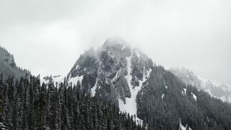 stunning tilting up shot of a large snowy rugged mountain peak with a large pine tree forest below inside of the mt