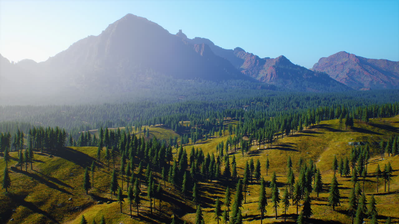 Splendida vista montana con pineta