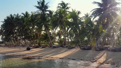 Llamarada-Solar-A-Través-De-Cocoteros-Inclinándose-Hacia-La-Playa-Al-Atardecer