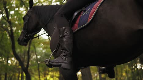 View-from-the-bottom:-Unrecognizable-female-rider-sitting-in-saddle-on-stallion-holding-leather-bridle