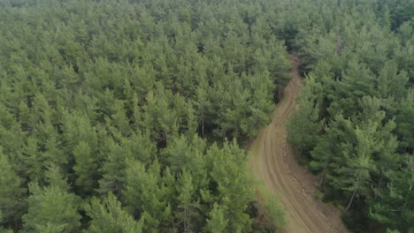 Eine-Ruhige-Unbefestigte-Straße-Mitten-In-Einem-Wald-In-Griechenland