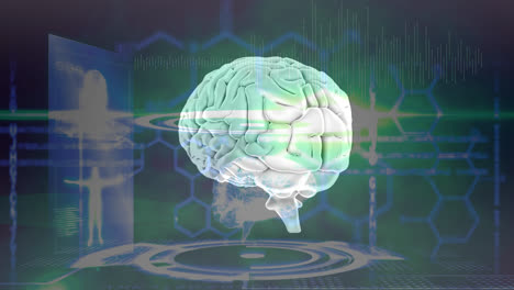animación del cerebro girando sobre la pantalla con hexágonos y modelo humano