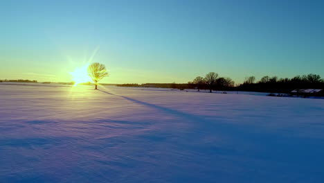 drone flyover snow covered field with leafless trees towards sun, scenic sunset lights in horizon