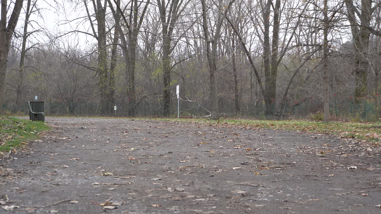 You see two friends disappear on a path behind a beautiful background. Around you can see an autumn scene with trees without any leaves and most of them on the floor.