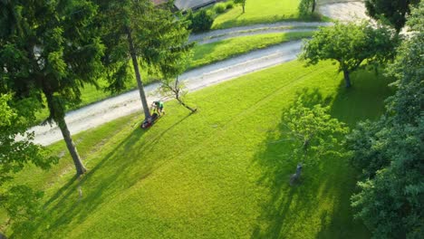 unrecognizable man mowing green lawn between pine and apple trees