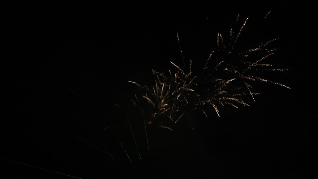 Fuochi d'artificio nel cielo notturno vicino al mare