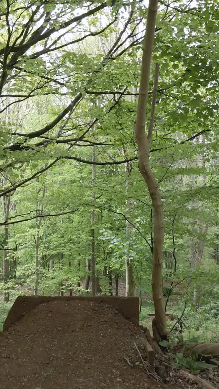 hombre en bicicleta de montaña haciendo un salto en el aire en un sendero a través del bosque