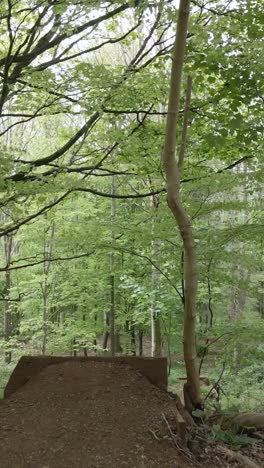 Drone-Seguimiento-De-Video-Vertical-Hombre-En-Bicicleta-De-Montaña-Ciclismo-Haciendo-Salto-En-El-Aire-En-Un-Sendero-A-Través-Del-Bosque