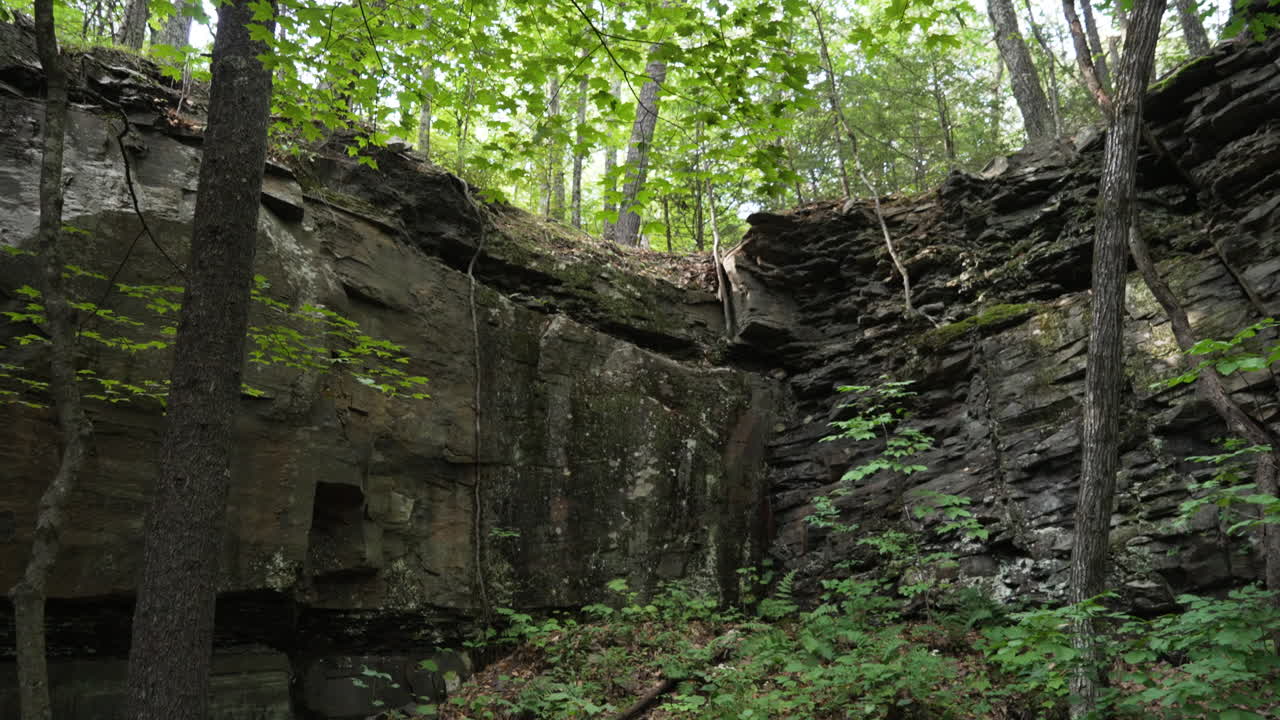 fondo de capas de estratos de pared de roca sedimentaria negra en un bosque húmedo