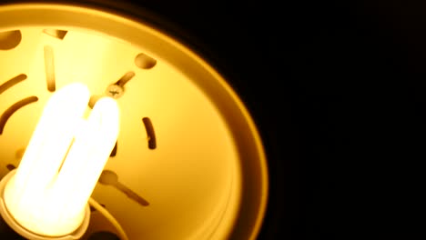 toilet light in the ceiling