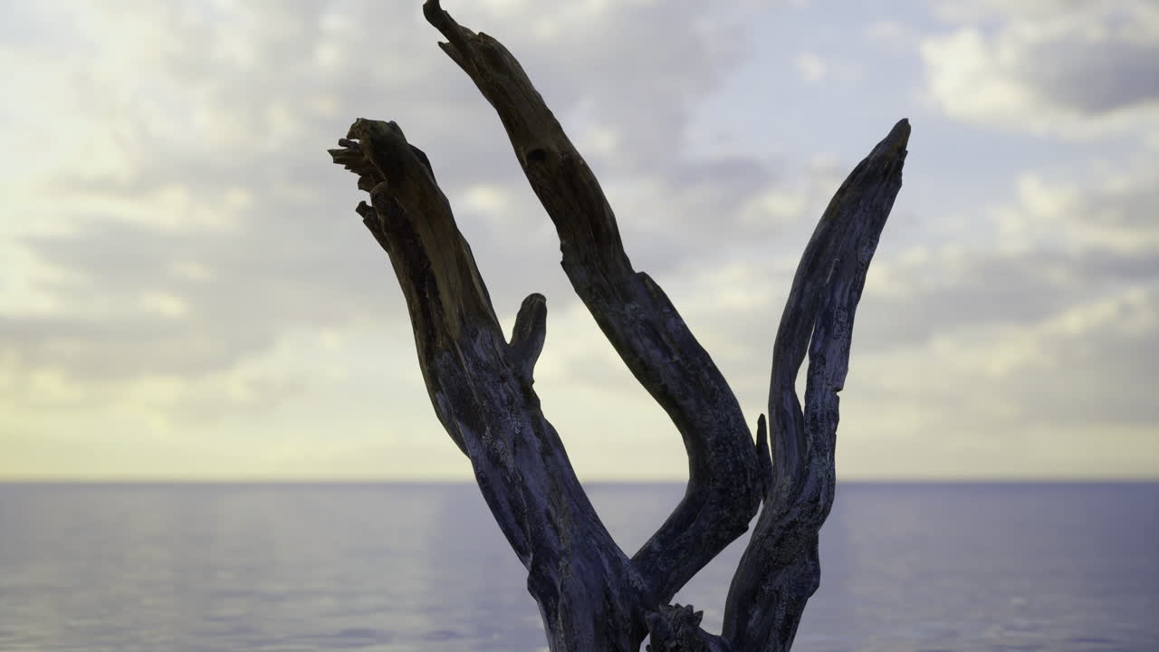 Driftwood sculpture rises above calm ocean at sunset near shoreline