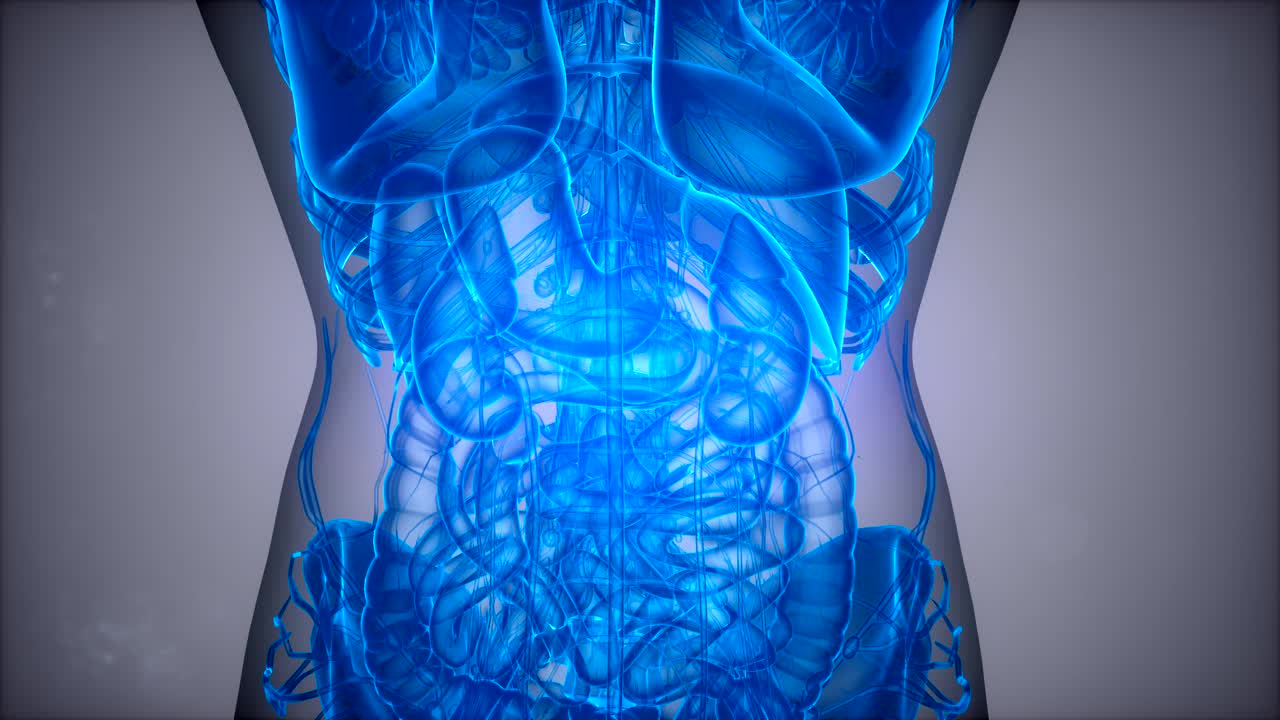 escaneo de imágenes de resonancia magnética en 3d