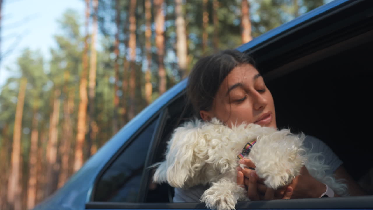여자 와 개 가 숲 을 가로질러 차 를 타고 즐기고 있다