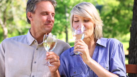 affectionate couple sitting on park bench drinking wine