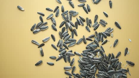 sunflower seeds