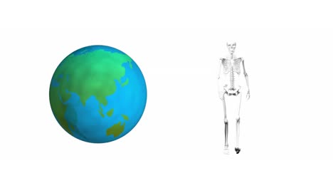 animation of skeleton walking and globe on white background