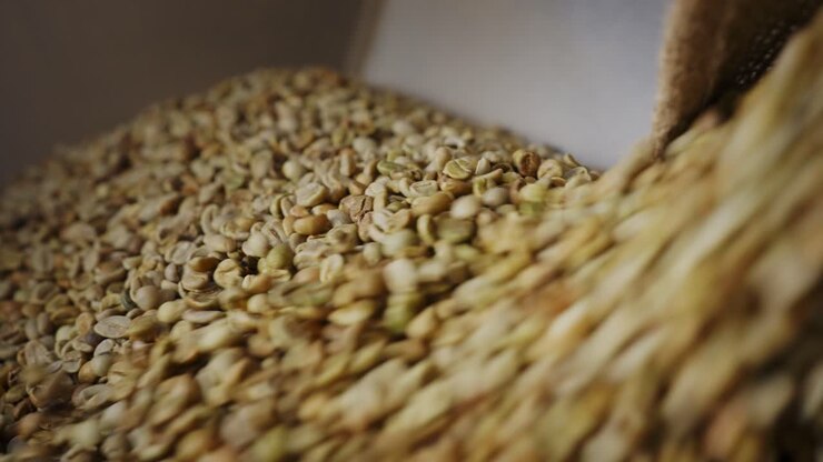 Mucchio di chicchi di caffè verde