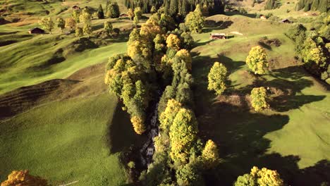 aerial drone footage pushing in over mountain creek with sycamore maple trees in switzerland