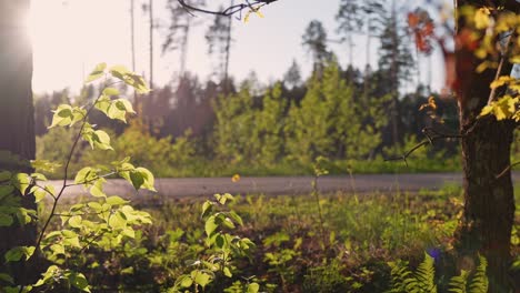 Static-view-of-wheelie-motorcycle-in-rural-countryside-road,-golden-hour