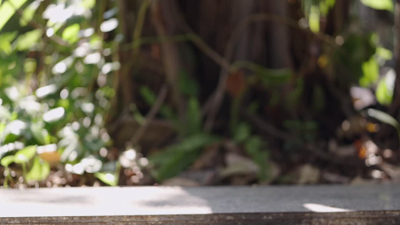Man Performing Ab Roller Exercise Outdoors