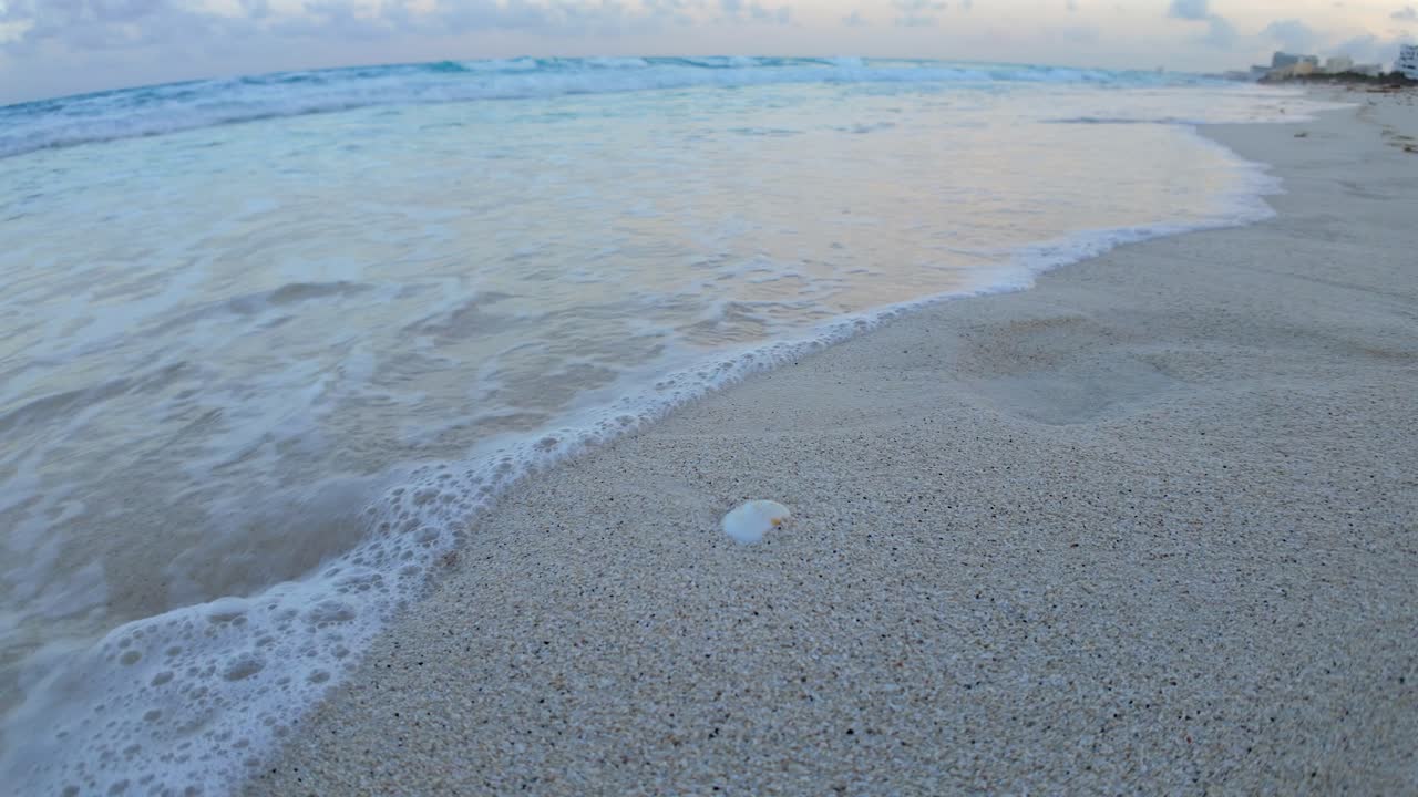 Seashell on a Sandy Beach with Gentle Waves
