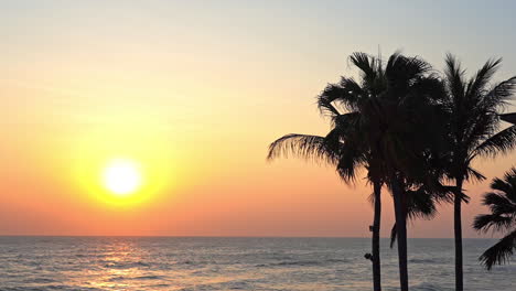 a pink, orange, and yellow sunset silhouettes multiple palm trees on the beach