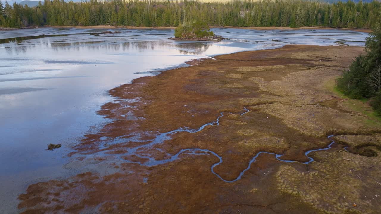 BC coastline drone shot of water and land meeting with ocean forest mountains trees along the coast of British Columbia