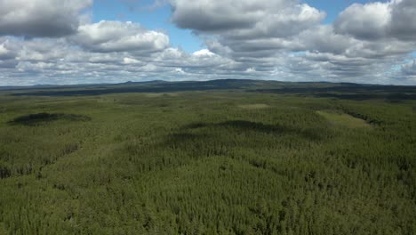 Wolken-Werfen-Schatten-über-Nordische-Wälder