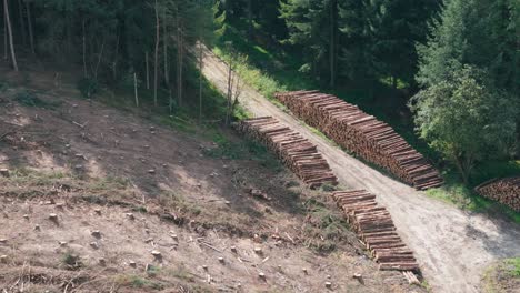 aerial footage of cleared land and log stacks, deforestation in a forest with cut-down trees and cut-tree trunks