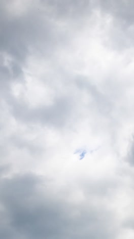 dramatic grey cloudscape covering the sky. stormy clouds accumulation from low angle view. timelapse. vertical video
