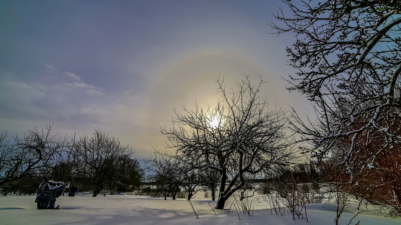나무와 땅에 눈이 내린 겨울의 시골 눈 인 지역에서 해가 뜨는 헤일로 타임 스