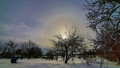 Time-lapse-Del-Halo-Del-Amanecer-En-La-Región-Nevada-Rural-De-Invierno-Con-Nieve-En-Los-árboles-Y-El-Suelo