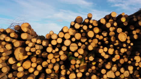 Piles-of-birch-and-pine-logs-cut-to-length-on-the-side-of-the-field,-slide-right