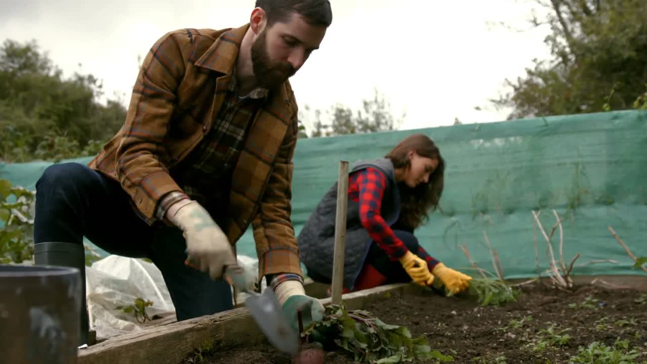 Young couple gardening
