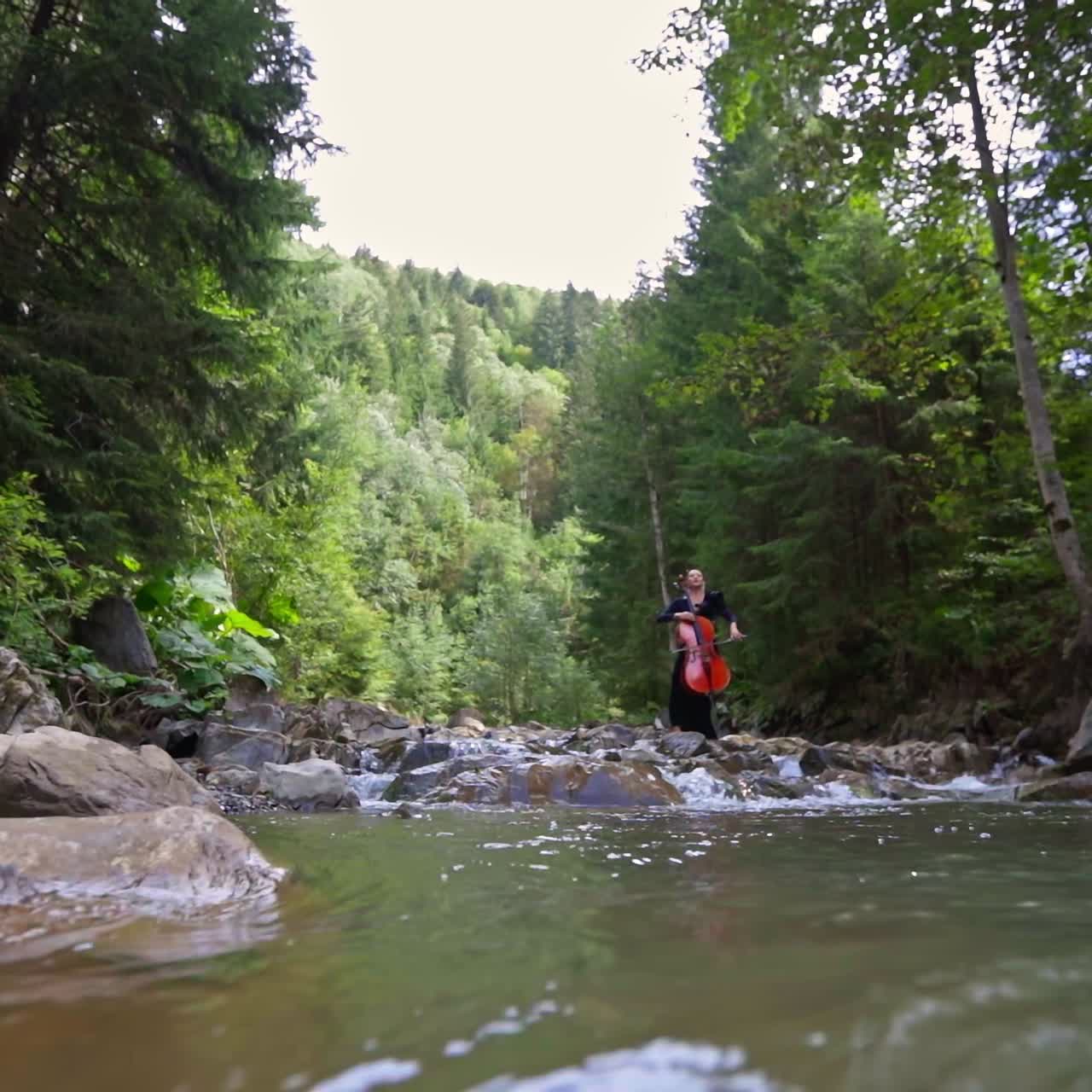 Lady with musical instrument in beautiful nature. Attractive woman in long black dress playing the cello in green forest with mountain river