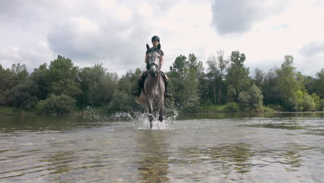 Front-view-of-a-horse-splashing-the-water-while-walking-the-river,-low-angle