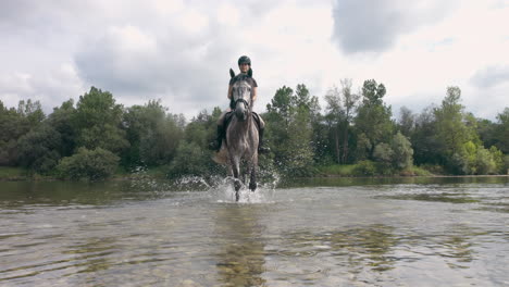 front view of a horse splashing the water while walking the river, low angle