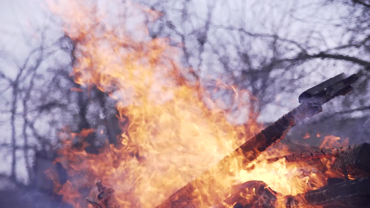 burning branches of trees. Big bonfire in the garden