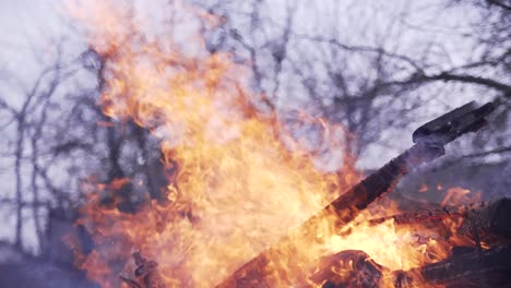 burning branches of trees. big bonfire in the garden