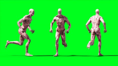 scary monster animation. phisical, motion, blur. realistic 4k animation. green screen