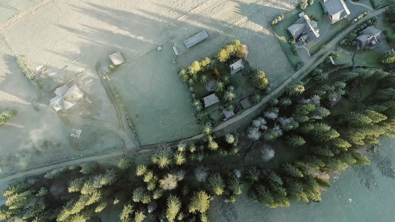 도로 옆에 상록수가 있는 폴란드 시골 풍경