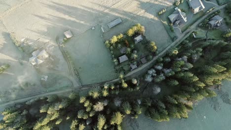 aerial over rural landscape in poland with evergreen tree line next to road