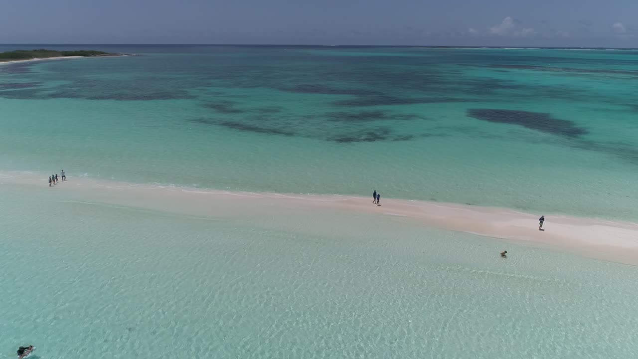 Family walk hand in hand together on sandbar connect enjoy day beach, aerial shot cayo de agua Los Roques