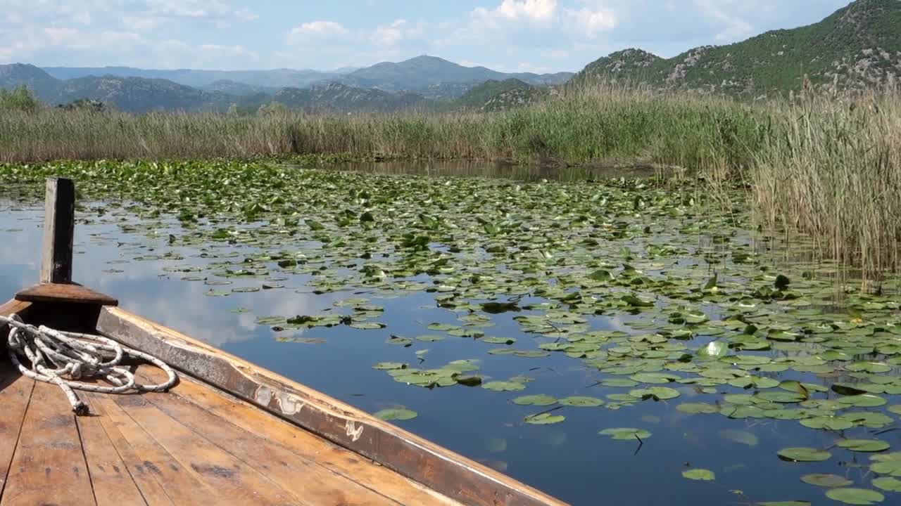 wooden raft sails among lilies in Lake Skadar, on the border of Albania and Montenegro, the largest lake in Southern Europe