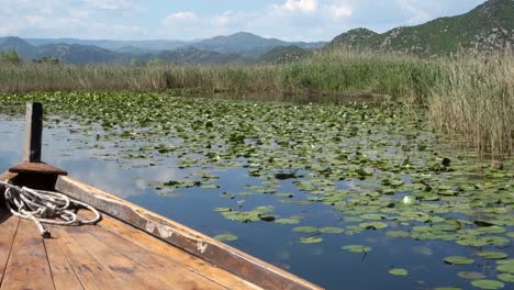 wooden raft sails among lilies in lake skadar, on the border of albania and montenegro, the largest lake in southern europe