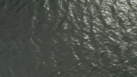 aerial top down, very dark green gray ocean lake water, small waves rippling